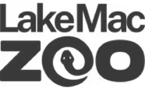 Website_(Transparent)650pixel_72dpi_edited